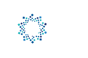 رؤية 2030